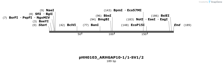 175774_map