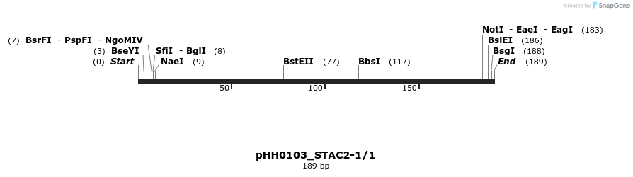 175775_map