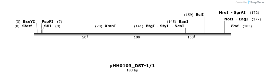 175776_map