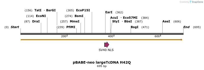 17578_map