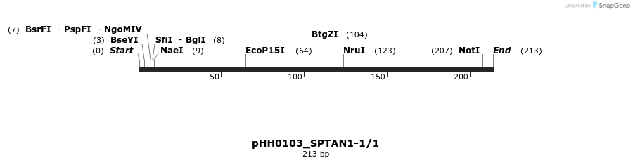 175780_map