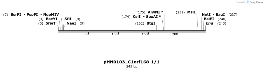 175783_map