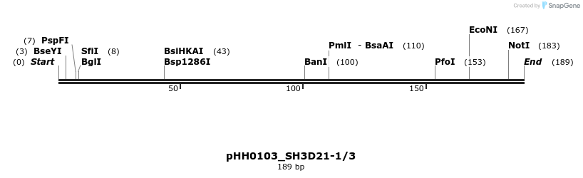 175784_map