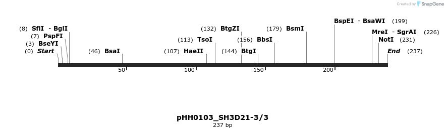175786_map