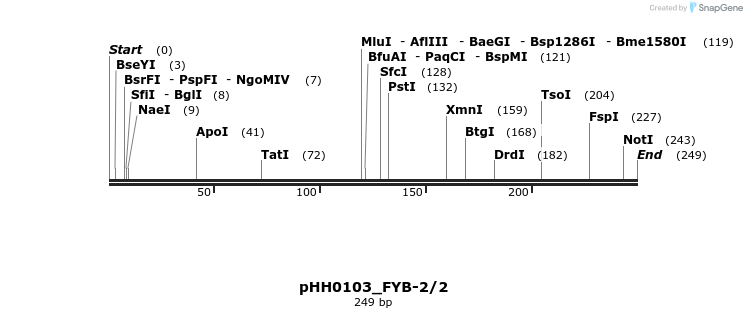 175788_map
