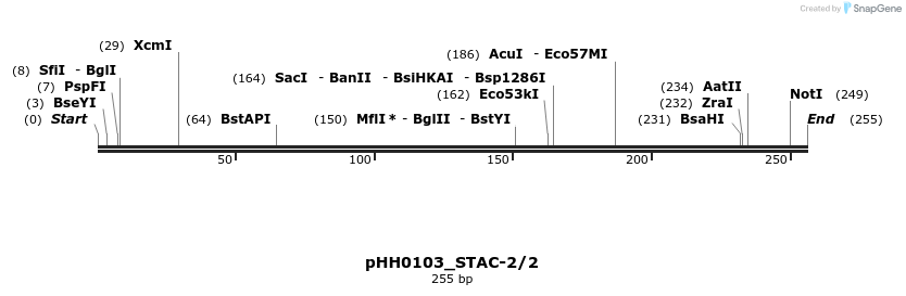 175790_map