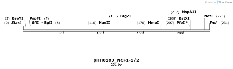 175793_map