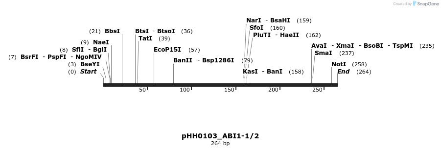 175794_map