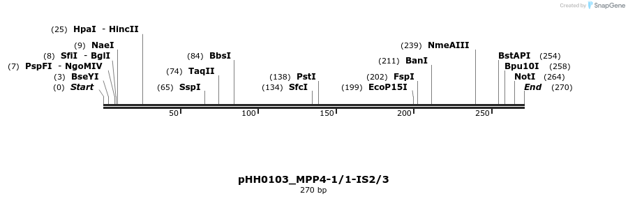 175796_map