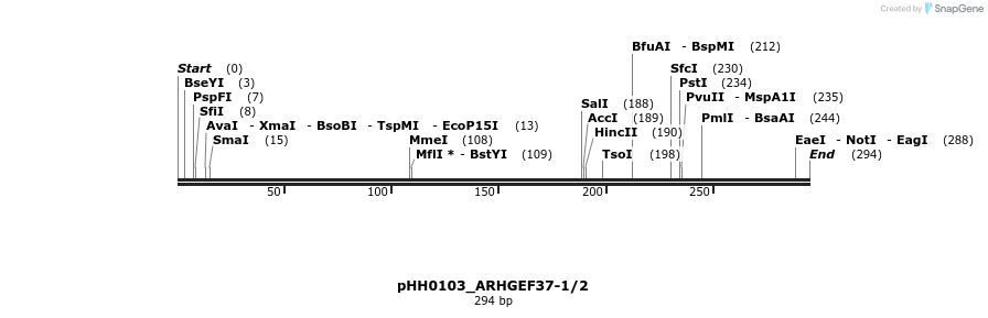 175798_map