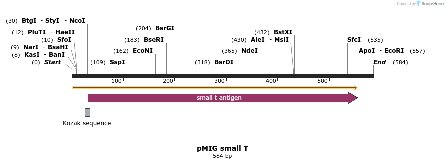 17580_map