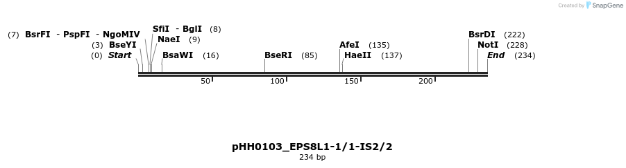 175803_map