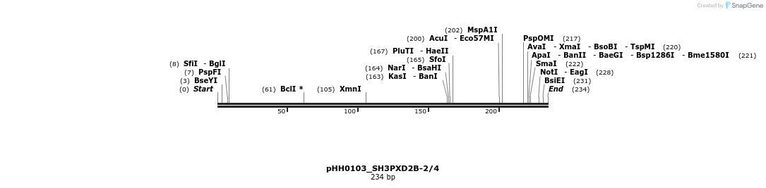 175804_map