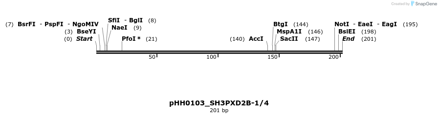 175805_map