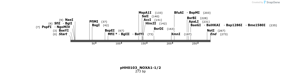 175808_map