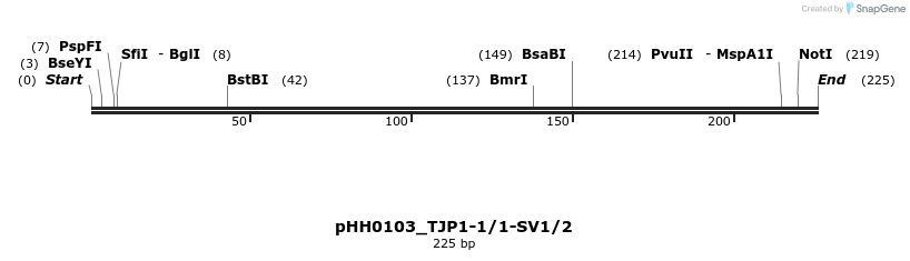 175809_map