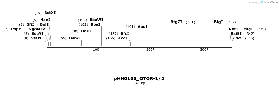 175816_map
