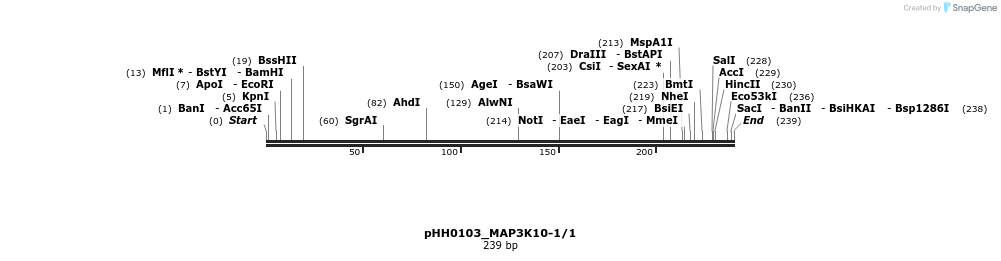 175817_map