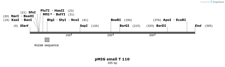 17582_map