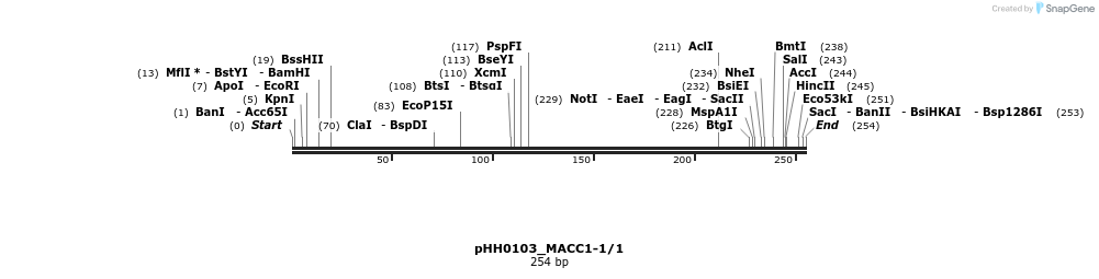 175821_map