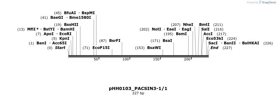 175823_map