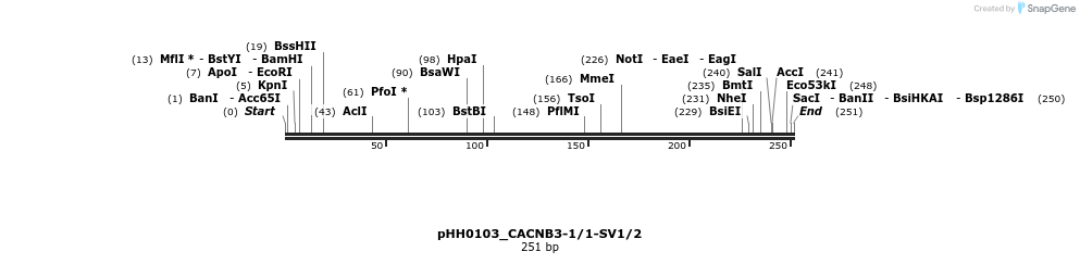 175824_map