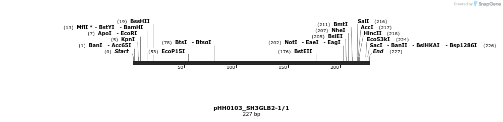 175825_map