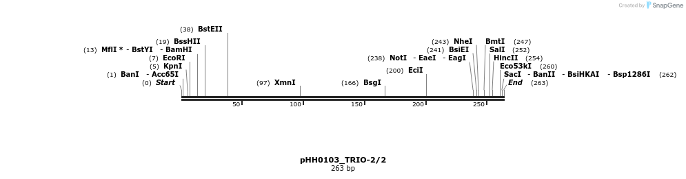 175826_map