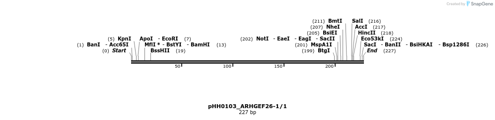 175830_map