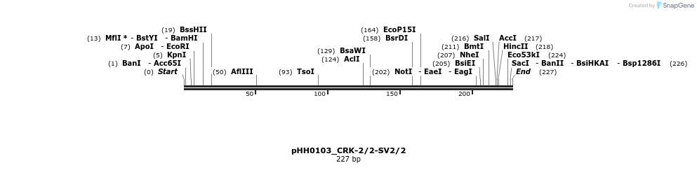175831_map