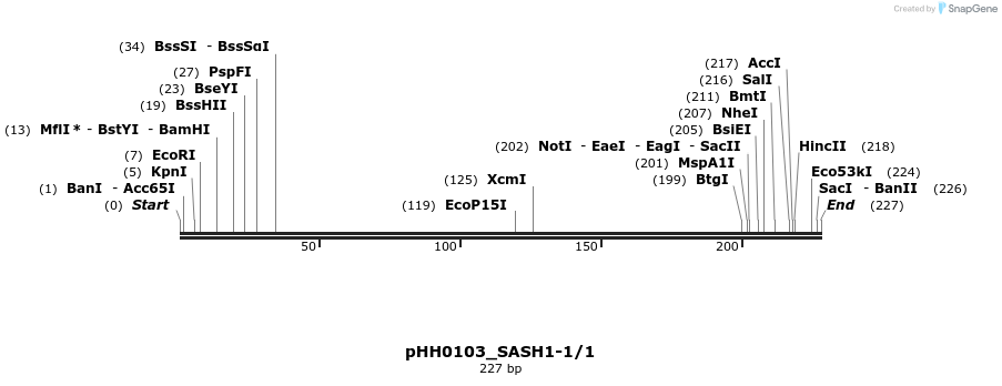 175835_map