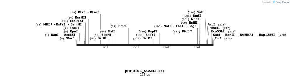 175836_map