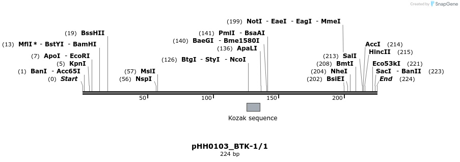 175838_map