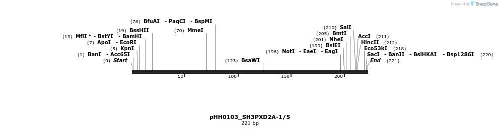 175839_map