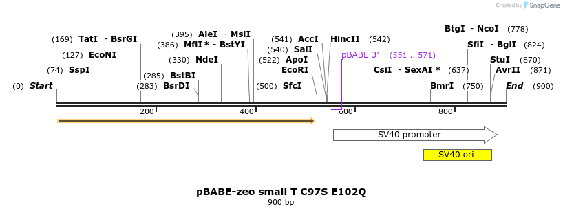 17584_map
