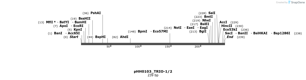 175841_map