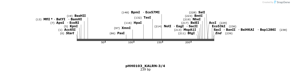 175842_map
