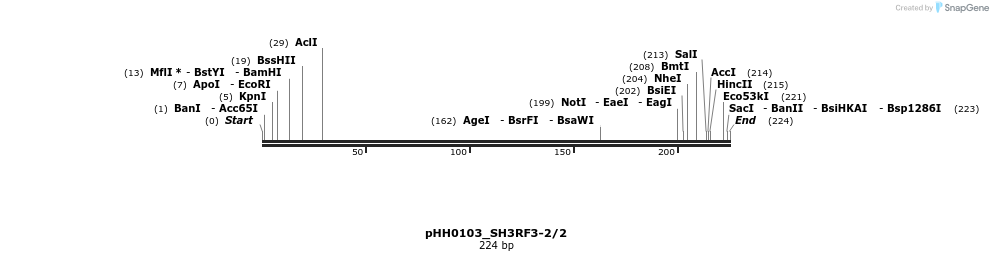 175844_map