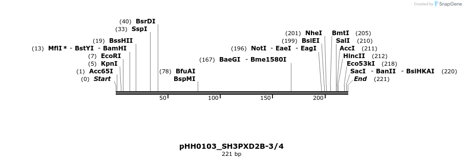 175847_map
