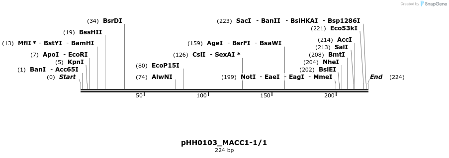 175848_map