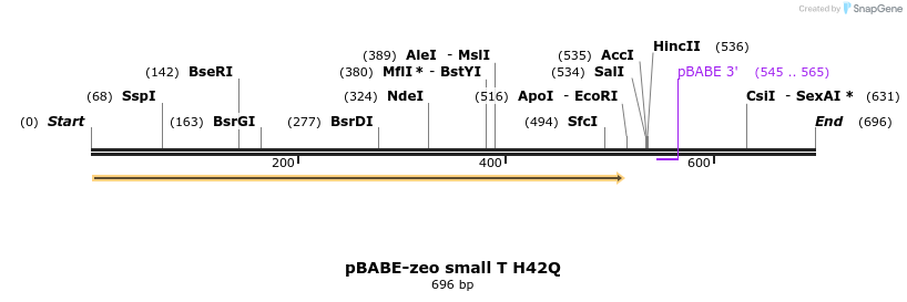 17585_map