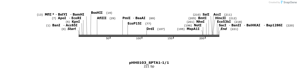 175851_map
