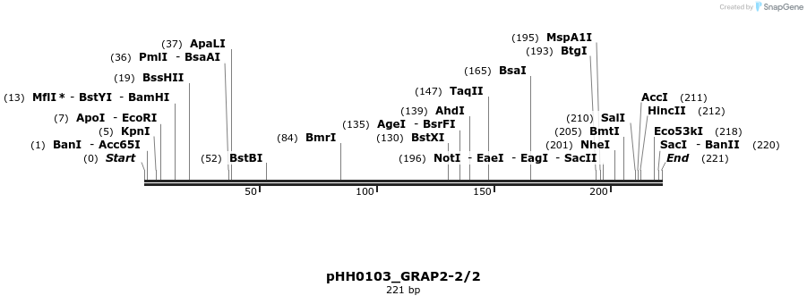 175856_map