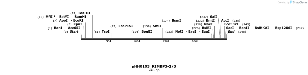 175858_map