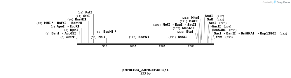 175861_map