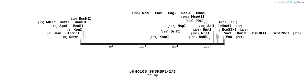 175866_map