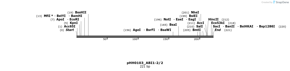 175868_map