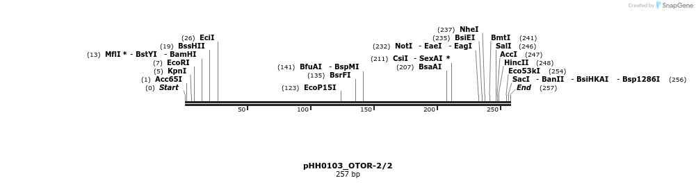 175870_map