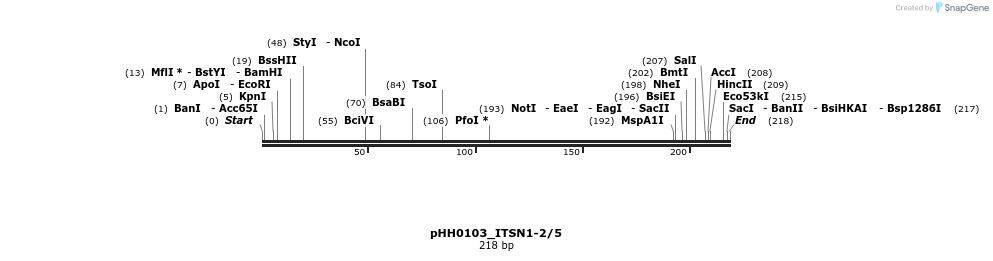 175873_map