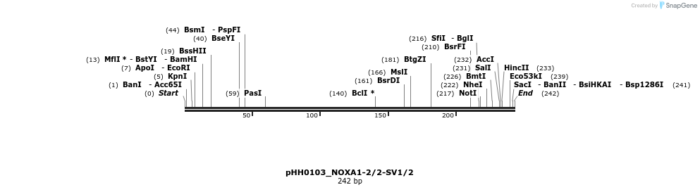 175874_map